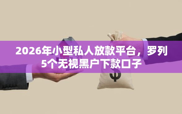 2026年小型私人放款平台，罗列5个无视黑户下款口子