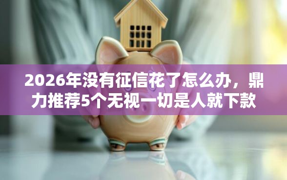 2026年没有征信花了怎么办，鼎力推荐5个无视一切是人就下款软件