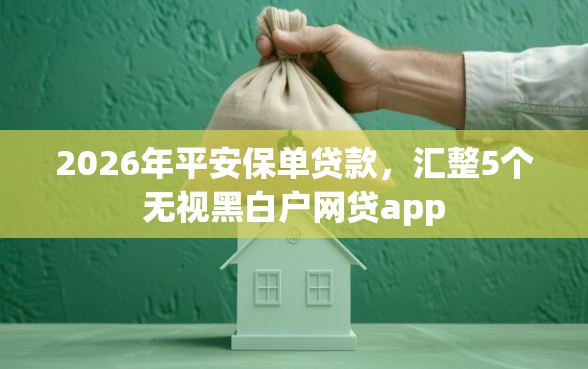 2026年平安保单贷款，汇整5个无视黑白户网贷app