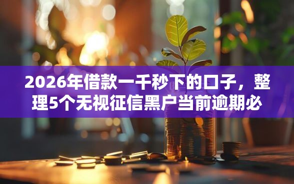 2026年借款一千秒下的口子，整理5个无视征信黑户当前逾期必下款的口子