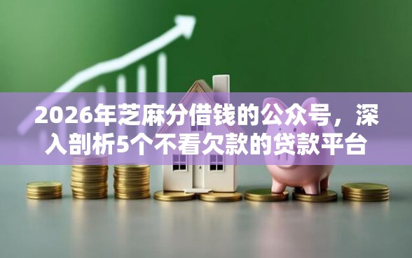 2026年芝麻分借钱的公众号，深入剖析5个不看欠款的贷款平台