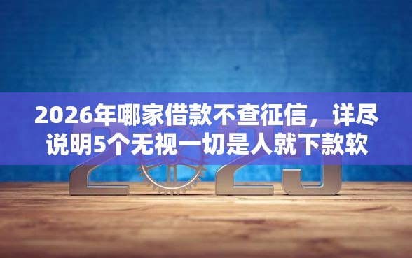 2026年哪家借款不查征信，详尽说明5个无视一切是人就下款软件