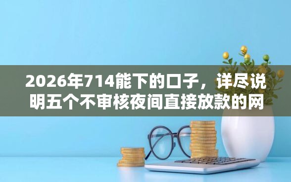 2026年714能下的口子，详尽说明五个不审核夜间直接放款的网贷平台