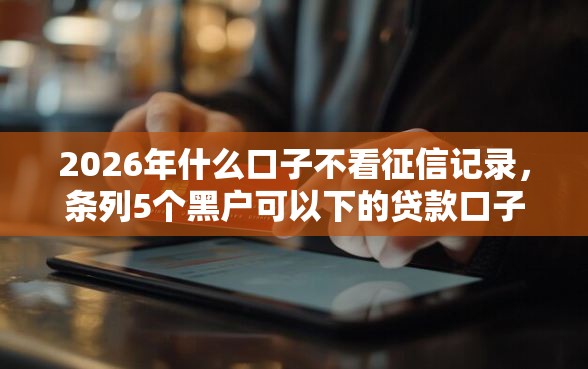 2026年什么口子不看征信记录，条列5个黑户可以下的贷款口子