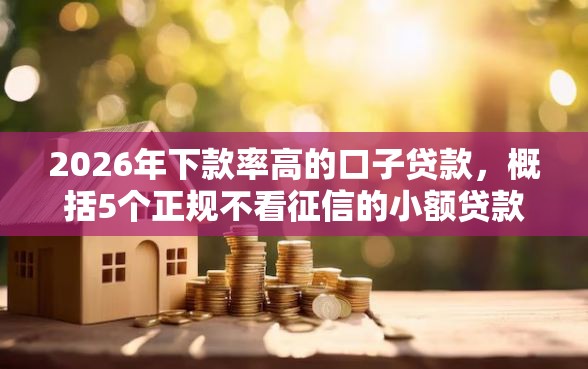 2026年下款率高的口子贷款，概括5个正规不看征信的小额贷款口子