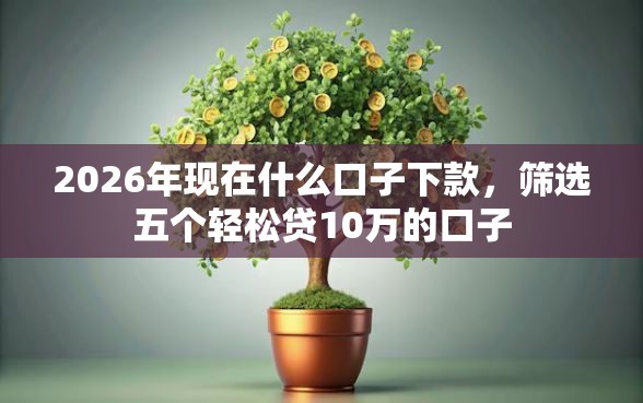 2026年现在什么口子下款，筛选五个轻松贷10万的口子