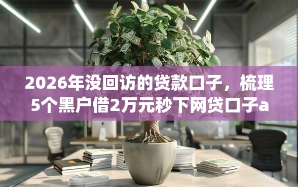 2026年没回访的贷款口子，梳理5个黑户借2万元秒下网贷口子app