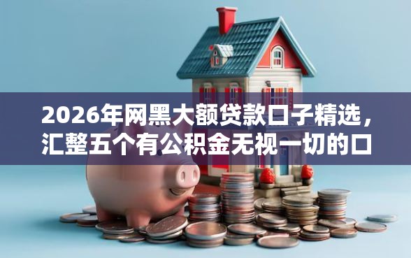 2026年网黑大额贷款口子精选，汇整五个有公积金无视一切的口子