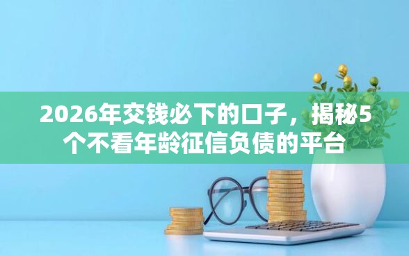 2026年交钱必下的口子，揭秘5个不看年龄征信负债的平台