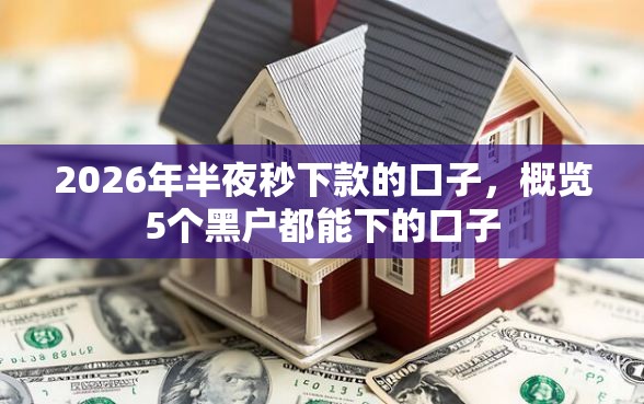 2026年半夜秒下款的口子，概览5个黑户都能下的口子