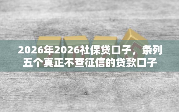 2026年2026社保贷口子，条列五个真正不查征信的贷款口子