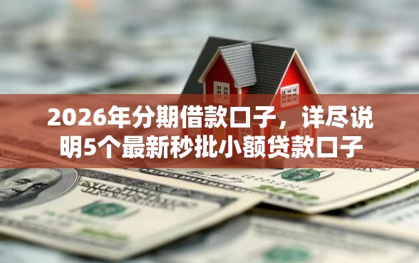 2026年分期借款口子，详尽说明5个最新秒批小额贷款口子