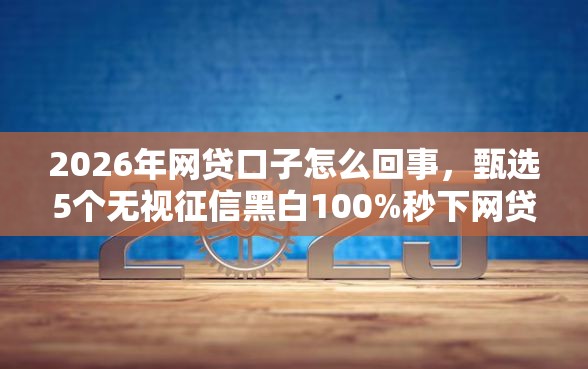 2026年网贷口子怎么回事，甄选5个无视征信黑白100%秒下网贷平台