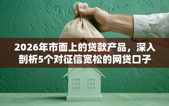 2026年市面上的贷款产品，深入剖析5个对征信宽松的网贷口子