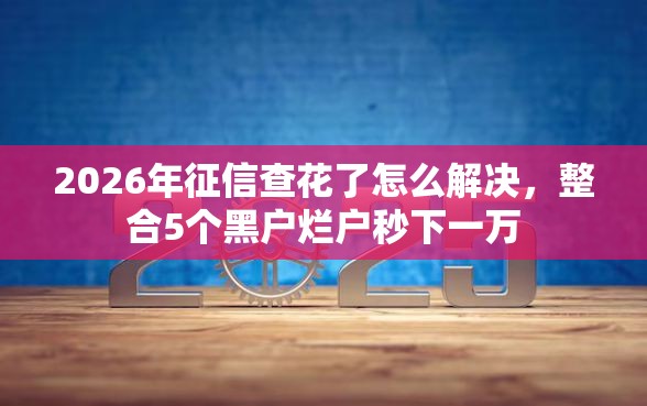 2026年征信查花了怎么解决，整合5个黑户烂户秒下一万