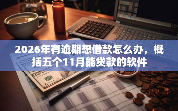 2026年有逾期想借款怎么办，概括五个11月能贷款的软件