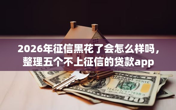 2026年征信黑花了会怎么样吗，整理五个不上征信的贷款app