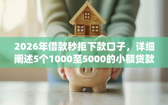 2026年借款秒拒下款口子，详细阐述5个1000至5000的小额贷款app