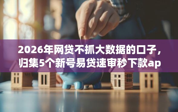 2026年网贷不抓大数据的口子，归集5个新号易贷速审秒下款app