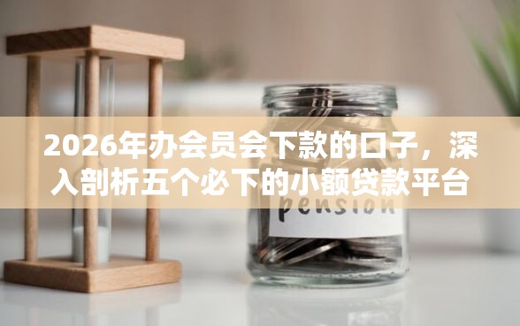 2026年办会员会下款的口子，深入剖析五个必下的小额贷款平台