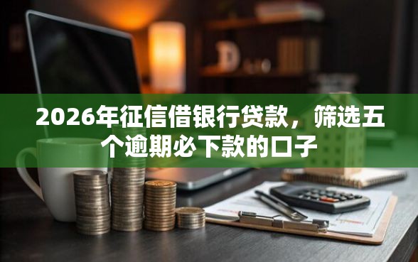 2026年征信借银行贷款，筛选五个逾期必下款的口子