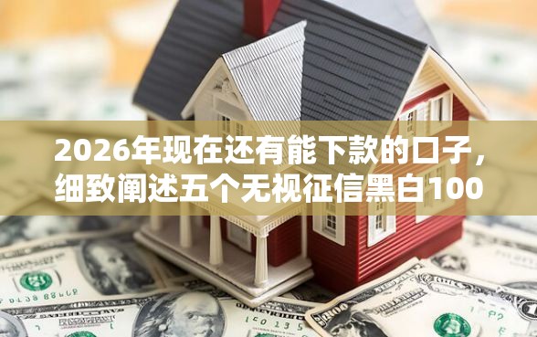 2026年现在还有能下款的口子，细致阐述五个无视征信黑白100%秒下平台