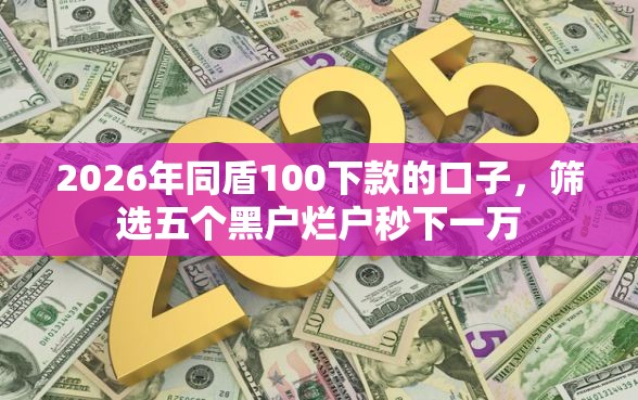 2026年同盾100下款的口子，筛选五个黑户烂户秒下一万