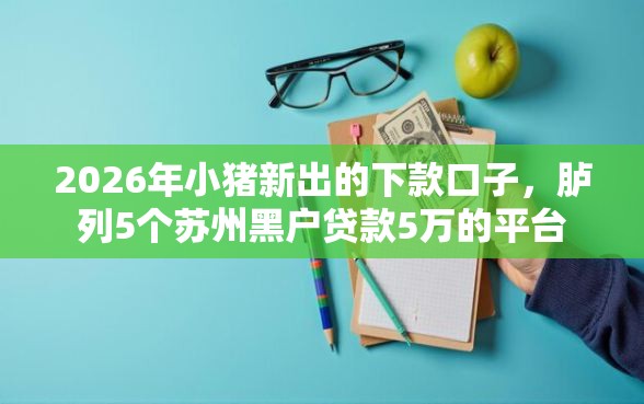 2026年小猪新出的下款口子，胪列5个苏州黑户贷款5万的平台