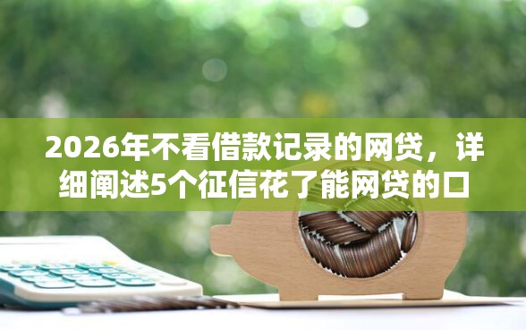 2026年不看借款记录的网贷，详细阐述5个征信花了能网贷的口子