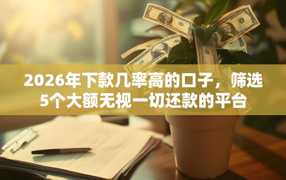 2026年下款几率高的口子，筛选5个大额无视一切还款的平台