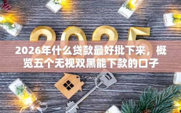 2026年什么贷款最好批下来，概览五个无视双黑能下款的口子