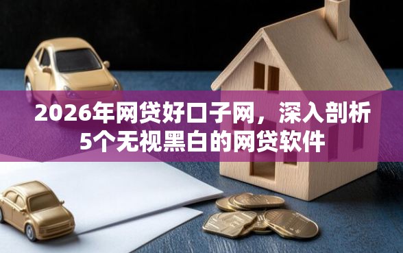 2026年网贷好口子网，深入剖析5个无视黑白的网贷软件