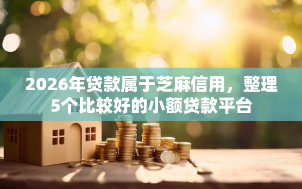 2026年贷款属于芝麻信用，整理5个比较好的小额贷款平台