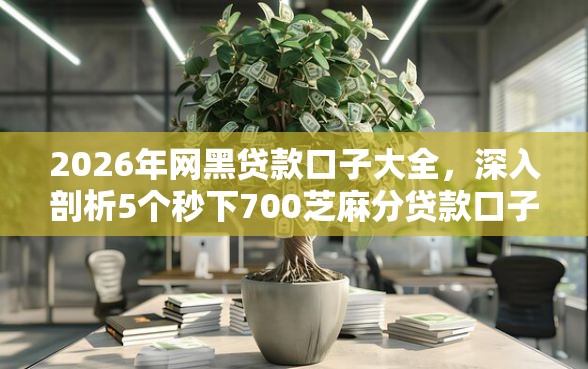2026年网黑贷款口子大全，深入剖析5个秒下700芝麻分贷款口子