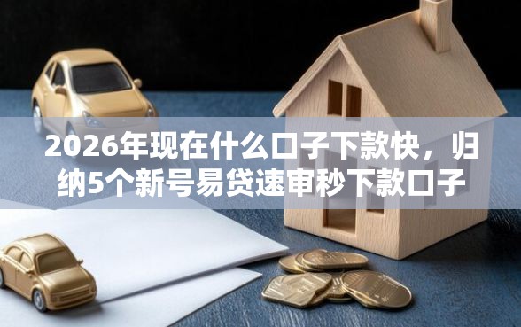 2026年现在什么口子下款快，归纳5个新号易贷速审秒下款口子