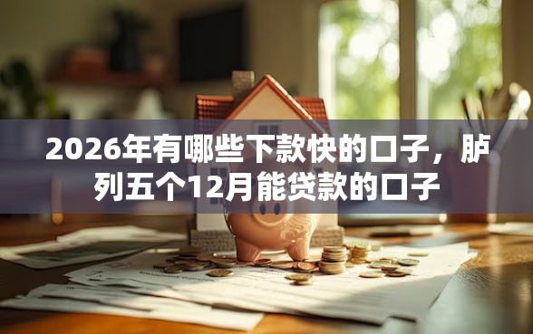 2026年有哪些下款快的口子，胪列五个12月能贷款的口子