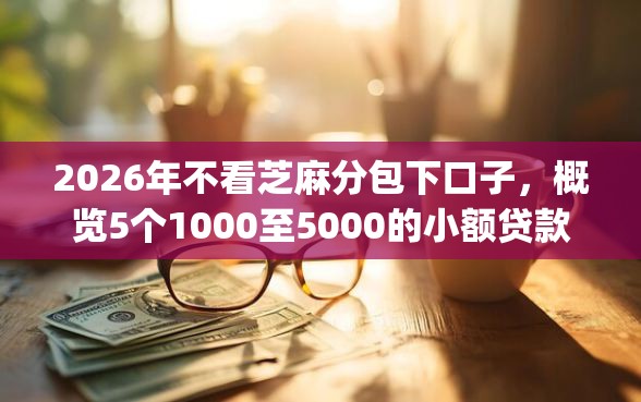 2026年不看芝麻分包下口子，概览5个1000至5000的小额贷款app