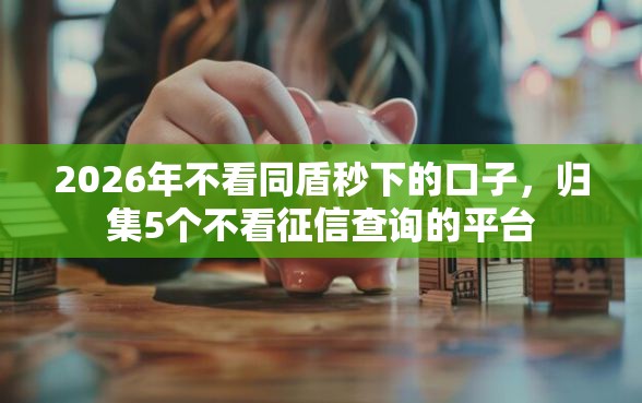 2026年不看同盾秒下的口子，归集5个不看征信查询的平台