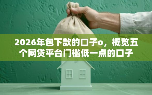 2026年包下款的口子o，概览五个网贷平台门槛低一点的口子