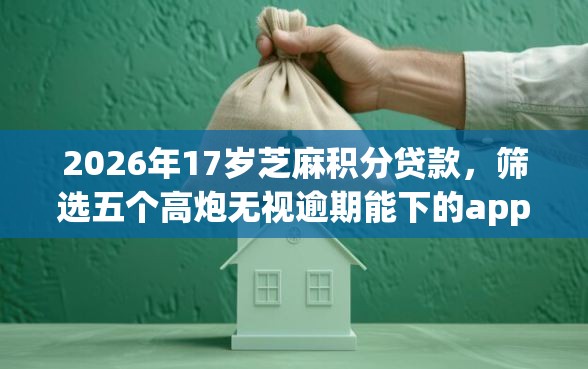 2026年17岁芝麻积分贷款，筛选五个高炮无视逾期能下的app