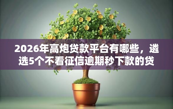 2026年高炮贷款平台有哪些，遴选5个不看征信逾期秒下款的贷款
