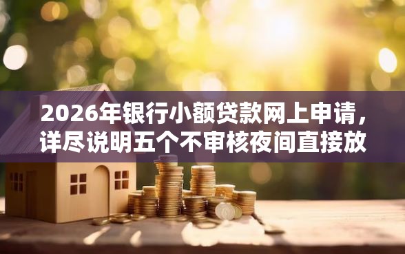 2026年银行小额贷款网上申请，详尽说明五个不审核夜间直接放款的网贷口子