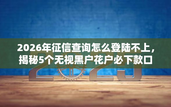 2026年征信查询怎么登陆不上，揭秘5个无视黑户花户必下款口子