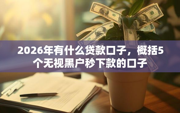 2026年有什么贷款口子，概括5个无视黑户秒下款的口子