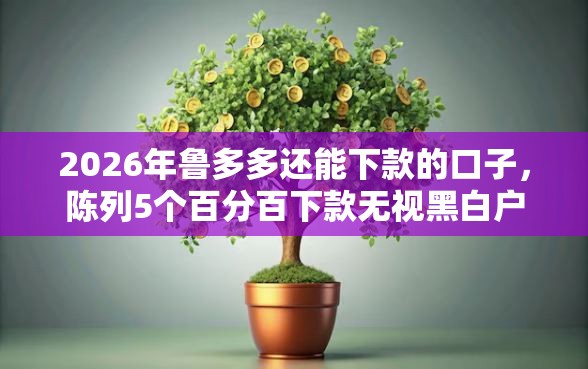 2026年鲁多多还能下款的口子，陈列5个百分百下款无视黑白户网贷软件