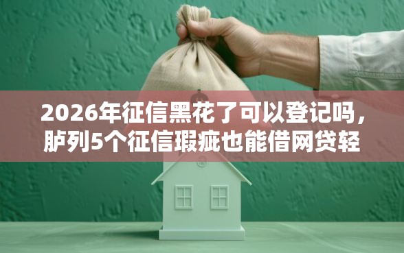 2026年征信黑花了可以登记吗，胪列5个征信瑕疵也能借网贷轻松下款的口子