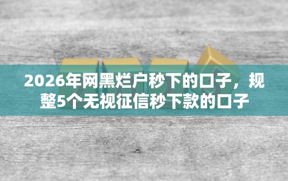 2026年网黑烂户秒下的口子，规整5个无视征信秒下款的口子