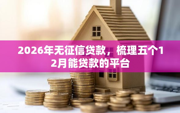2026年无征信贷款，梳理五个12月能贷款的平台