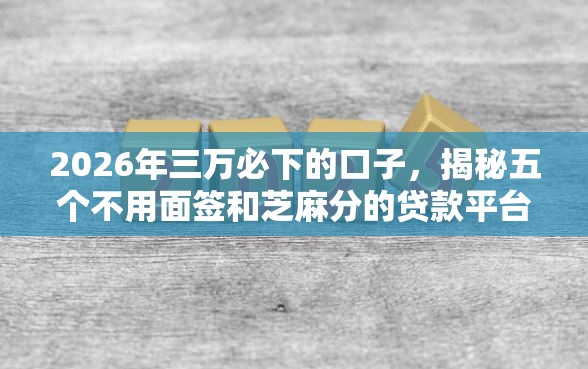 2026年三万必下的口子，揭秘五个不用面签和芝麻分的贷款平台