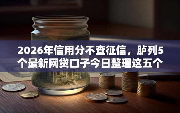 2026年信用分不查征信，胪列5个最新网贷口子今日整理这五个口子